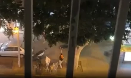 Masakra në Hamburg, dalin pamjet kur agresori qëllon me breshëri plumbash në qendrën e Dëshmitarëve të Jehovait