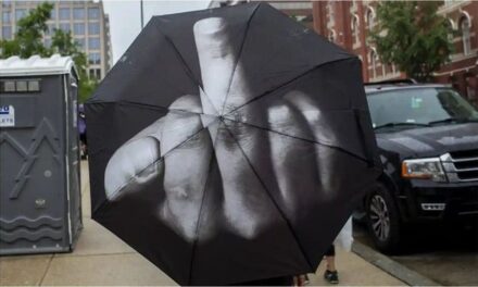 T’i nxjerrësh dikujt gishtin e mesit është një ‘e drejtë e dhënë nga Zoti’, vendos gjykatësi