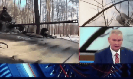 Eksperti rus, thirrje Kremlinit: Koha është në anën e Ukrainës, ndaloni luftën