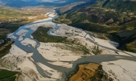 The Guardian: Vjosa, parku i parë kombëtar i një lumi të egër në Evropë, : Moment historik!
