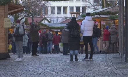 “Westbalkanregelung”: Si po i kosit Gjermania punëtorët e Ballkanit