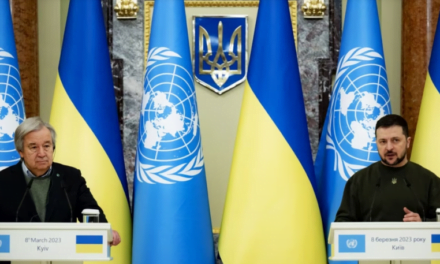 OKB dhe Ukraina bëjnë thirrje për zgjatjen e marrëveshjes së grurit me Rusinë