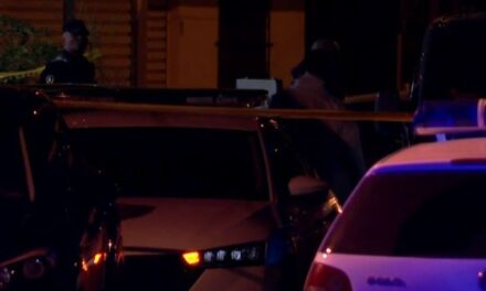 Emri/ U qëllua për vdekje në lokalin ku punonte, kush ëshë gruaja që mbeti viktimë e atentatit në Don Bosko