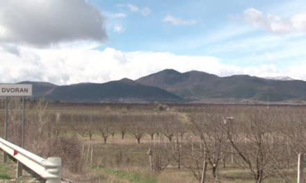 I ftohti dëmton pemtarinë në juglindje/ Fermerët: Rrezikojmë të humbasim 80% të prodhimit