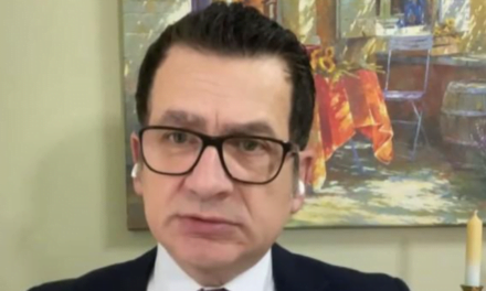 Kreshnik Spahiu: Gazetarët kanë frikë kur i bëjnë pyetje Berishës