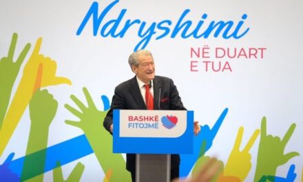 “Provinca” e Berishës, më e madhe sesa vetë demokracia jonë