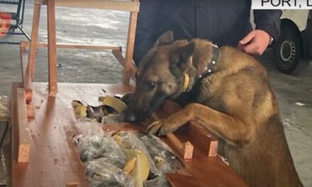 Do të furnizonte me armë grupet kriminale në Angli, si ra policia në gjurmët e shoferit të furgonit