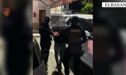 Babë e bir paguan persona me rekorde kriminale për të shantazhuar biznesmenin, zbardhen detajet nga sherri për tenderin 1 mln euro