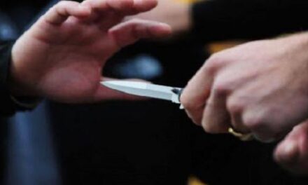 Kushërinjtë i “ngulën” thikat njëri-tjetrit, identifikohen autorët e sulmit