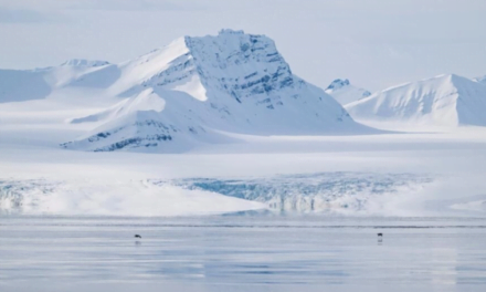 Shkencëtarët e Artikut po garojnë kundër kohës të shpëtojnë “historinë e akullit”