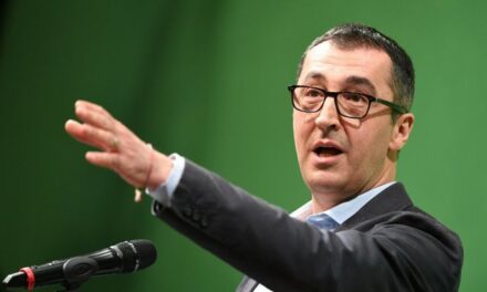 Ministri turko-gjerman tërbohet me turqit që jetojnë në Gjermani, pse festuan për fitoren e Erdogan