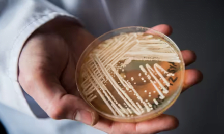 Infeksioni i frikshëm shkakton viktimën e parë në Itali. Çfarë është “kërpudha vrasëse”?