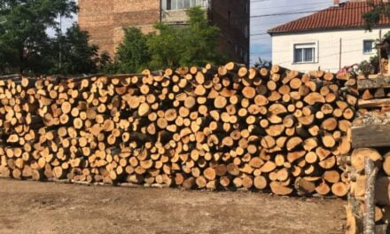  Monopoli dikton rritjen e çmimit /Institucionet heshtin për mungesën e politikave për furnizimin me dru të qytetarëve