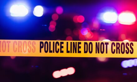 Serbia nuk gjen qetësi/ 21-vjeçari vret 8 të afërmit e tij dhe plagos 13 të tjerë