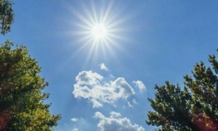 Parashikimi i motit, 5 maj 2023