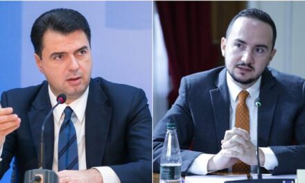 Salianji: Lulzim Basha do që të jetë ministër i Ramës