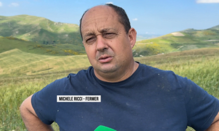 Depozitat e grurit, fermeri italian: Magazinimi, shqetësim i madh