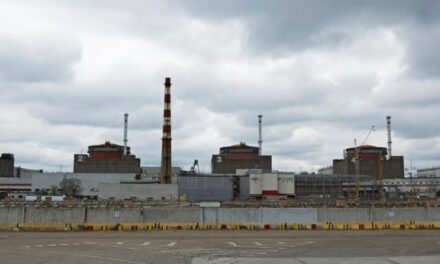 “Bota duhet ta dijë”- Zelensky: Rusia mund të sulmojë centralin në Zaporizhoa