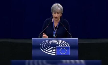 PE miraton raportin për Shqipërinë, Santos: Anëtarësimi do të mbyllet deri në vitin 2030