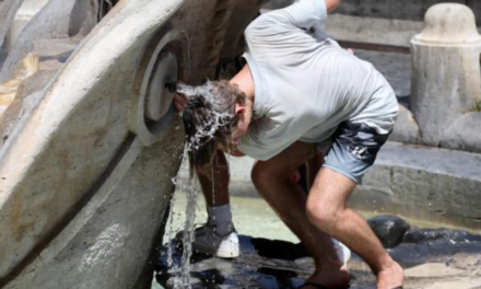 Mos i anashkaloni vaktet, pini edhe 2 litra ujë në ditë dhe mos u zhvishni shumë