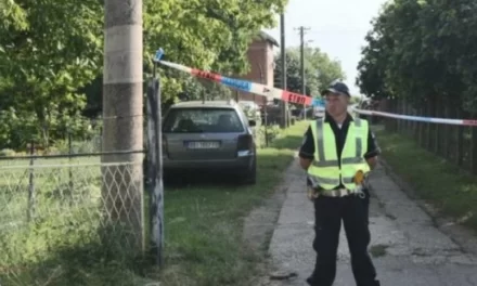 Në Serbi një 14 vjeçar vret me pushkë gjuetie vëllanë 12-vjeçar