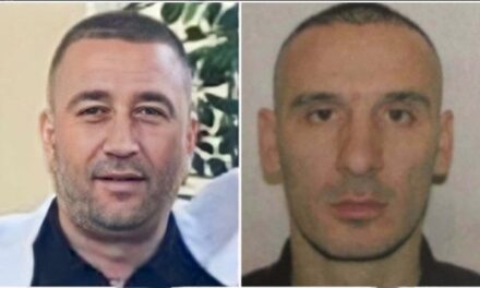 Detajet e reja/ “Kam gjetur një arab, një nga Kosova dhe një serb”, si shoferi i Gjokës bënte gati terrenin