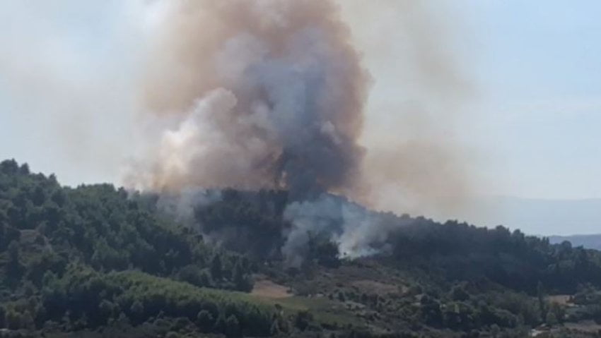 Flakët vazhdojnë të përhapen në Vlorë, shefi i zjarrfikësve: Jemi i njëjti personel prej 3 ditësh, e kemi të pamundur ta përballojmë