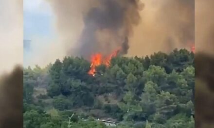 23 piromanë të arrestuar, apeli i Ballës: Gjykatat ti japin dënimin e merituar