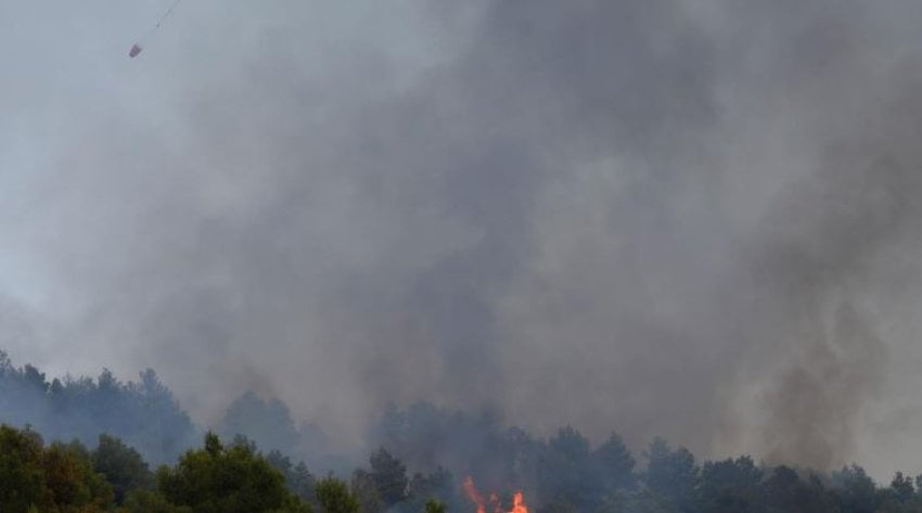 Peleshi: Vatrat në Laç dhe Vlorë janë shuar plotësisht, në Fier, Tepelenë dhe Finiq po punohet nga terreni