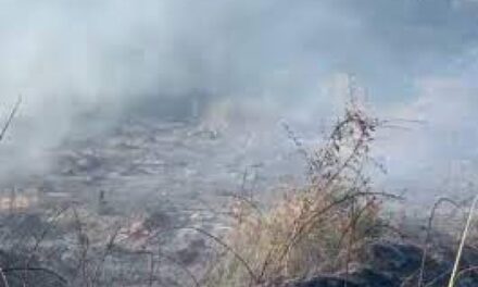 Përfshihet nga flakët zona me bimësi në Zvërnec të Vlorës, në rrezik edhe varrezat, ndërhyjnë zjarrfikësit