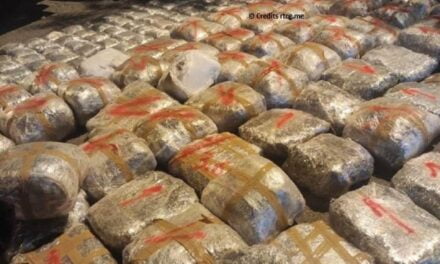 Sekuestrimi i 300 kg kanabis në doganën e Malit të Zi, Abazoviç: Krenar për punën e autoriteteve