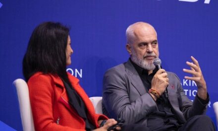 Rama nga Nju Jorku: Jemi vend i vogël, por kemi krijuar sinergjinë e duhur me organizatat e mëdha