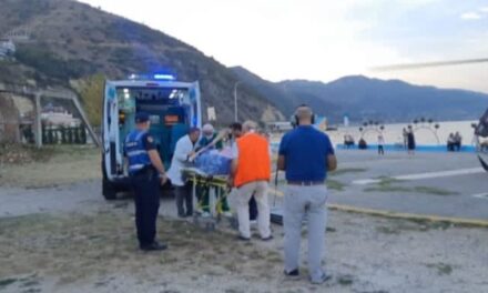 Aksidenti në aksin Pogradec-Lin,! Humb jetën shoferja italiane, arrestohet drejtuesi i “Benz-it”