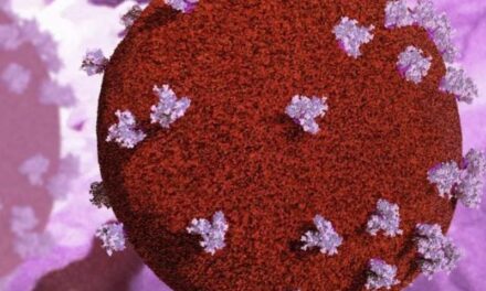 Të paktën 5 persona janë shëruar nga HIV. A po merr fund SIDA?