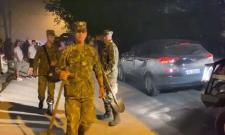 Patos, përhapet zjarri në zonën e Marglliçit! Ushtria zbarkon në terren për vendosjen nën kontroll të flakëve