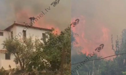 Zjarr masiv rreth 3 fshatrave në Finiq, tri banesa përfshihen nga flakët