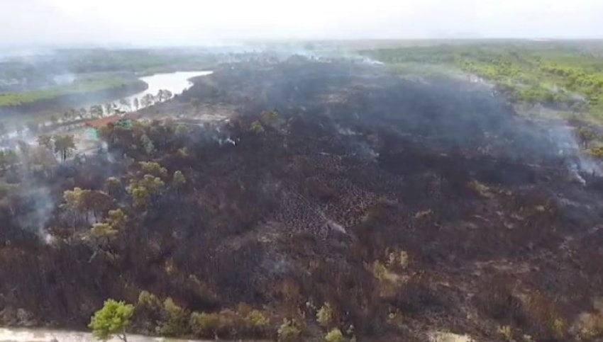 Bilanc i frikshëm dëmesh në Fier dhe Patos, prefekti i qarkut tregon përmasat e zjarrit