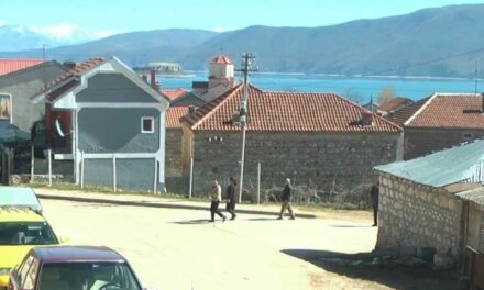 Censi drejt mbylljes në Pustec, ja sa % e të anketuarve deklarohen me shtetësi bullgare