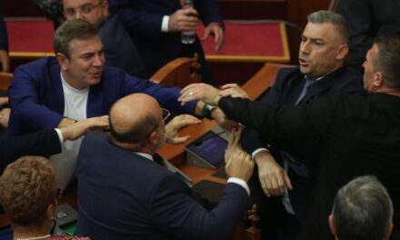 SPAK po e heton, zbutet deputeti i Berishës: Vullnetj Sina u turr për të më qëlluar, s’e preka me dorë! Reagova në kushtet e vetëmbrojtjes