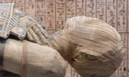 5 gjërat më të çuditshme që janë gjetur brenda piramidave