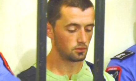 Artan Hoxha: Çfarë pa Mjacaj në televizor, pse e përshpejtoi vrasjen