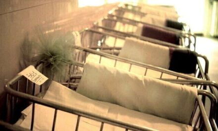 Shqetësuese! Në vitin 2040 vetëm një çift në katër do të ketë fëmijë