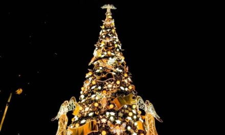 Rrëzohet pema e Krishtlindjeve në Belgjikë, 1 viktimë dhe 2 të plagosur