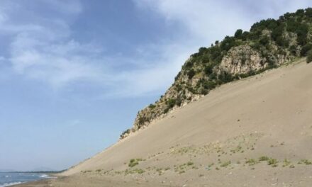 Nuk zbatuan vendimin e gjykatës për një pronë te “Rana e Hedhun”, pezullohen nga detyra 11 zyrtarë të Kadastrës në Lezhë