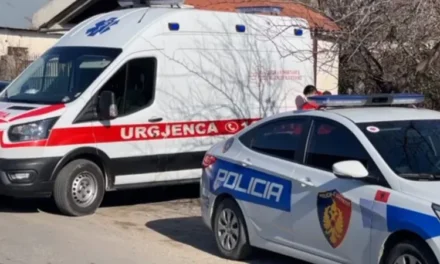 Bie nga kati i pestë, humb jetën 27-vjeçarja në Kamëz