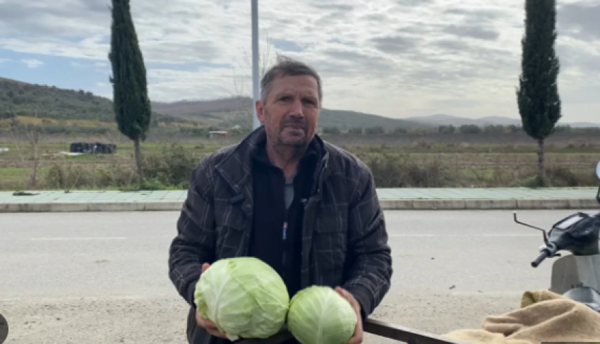 Bujqësia në vështirësi/ Punë nga mëngjesi në darkë, i moshuari në Divjakë përballet me probleme: Jam i detyruar