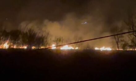 Zjarri del jashtë kontrollit në Fier, rrezikohen banesat pranë fshatit Hambar
