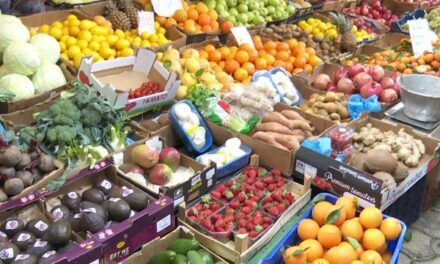 Thellohet kriza e prodhimit, gati 80% e ushqimeve importohen