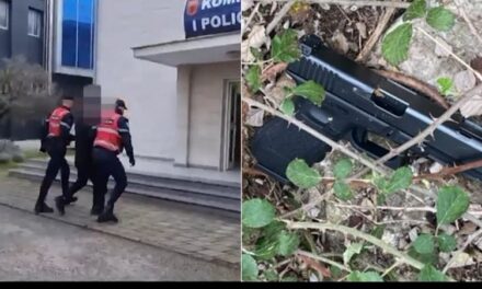Lëviznin të armatosur me makina të blinduara dhe tentuan t’i shmangen policisë, arrestohen 3 persona në Fier