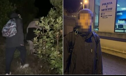 Humbi rrugën gjatë eksplorimit në Dajt, gjendet pas 5 orë kërkimesh turisti italian